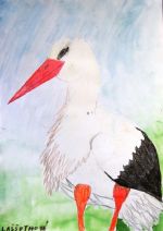 Laššuthová Barbora.jpg